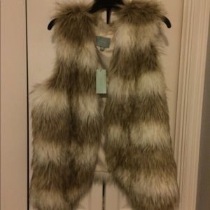Faux Fur Vest
